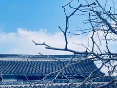-浏河古镇