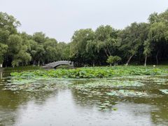 -北陵公园