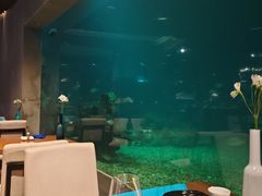 -海棠湾洲际-涛·海底餐厅·美人鱼·自助餐·海底隧道