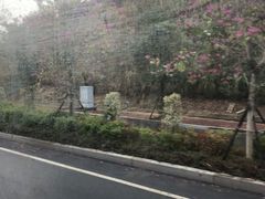 -江东鲈鱼馆(正江东)