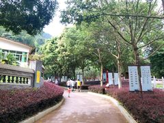 -灵光寺