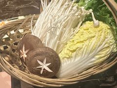 -同仁四季椰子鸡(福田车公庙店)