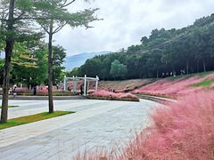 -牛岗山公园