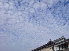 -枫泾服务区超市