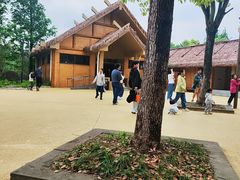 -河姆渡遗址博物馆