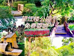 -望江楼公园