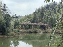 -沐川竹海旅游景区