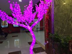 -SFC上影影城(广州店)