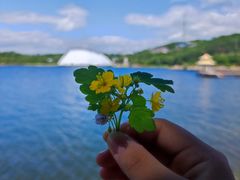 -镜泊湖风景区