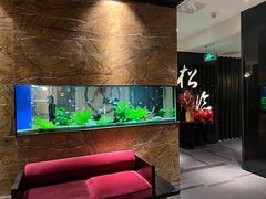 -松临·铁板烧&Omakase(神农店)