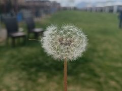 -潭柘厚院(桑峪村店)