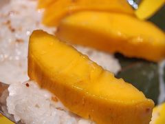 芒果拉丝糯米饭-泰盏鬼·颓废冬阴(陈家祠扬韬店)