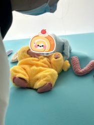 -玛瑞莎孕婴童摄影到家拍