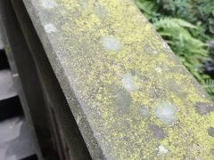 -道教老君洞