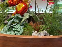 -糖糖屋•糖水•雪花冰店(时尚天河店)