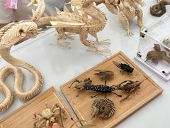 -国际非物质文化遗产博览园