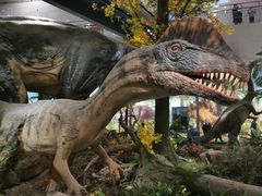 -湖南省地质博物馆