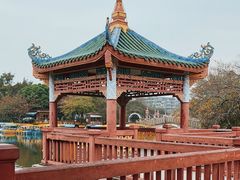 -中山公园