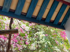 -深圳国际园林花卉博览园