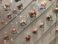 -中国湿地博物馆