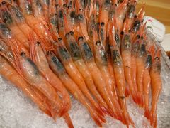 -蟹福家活蟹料理·豪华自助(绿洲假日酒店)