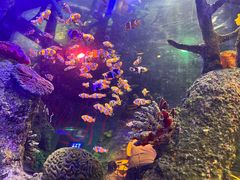 -沈阳海洋探索中心