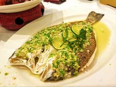 青柠鲈鱼-稻香酒家·35年老字号(侨光店)