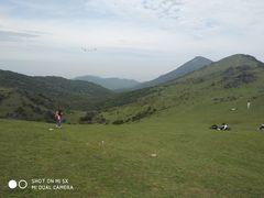 -大姆山草场