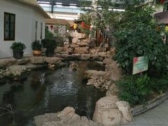-森谷美食公园(杨行店)