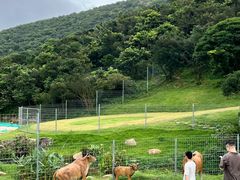 -大姆山草场