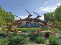 -武清南湖绿博园