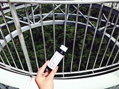 -呀诺达热带雨林