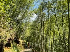 -千泷沟大瀑布旅游区