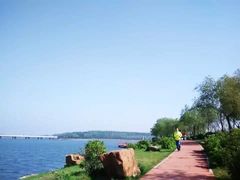 -丁香湖公园