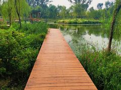 -东郊湿地公园