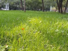-山东大学(趵突泉校区)