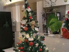 -春树下·树屋花房西餐厅(罍街AS1980店)