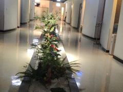 -南美元生态大酒店(海珠店)