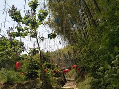 -宁波浙东大竹海景区