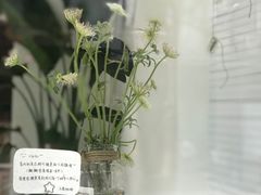 -泡桐树街