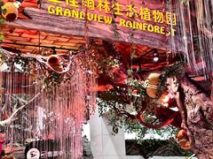 -正佳雨林生态植物园