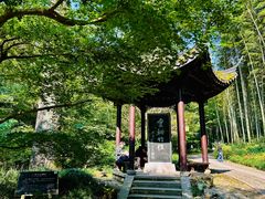 景点-云栖竹径
