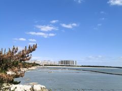 -福如东海文化园