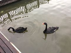 -南通濠河风景名胜区