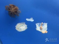 -常州海昌海洋探索馆