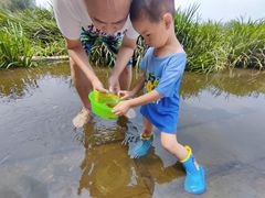 -石榴庄公园
