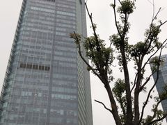 -上海静安洲际酒店-商务中心