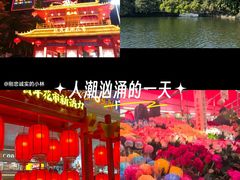 -越秀西湖花市(广州城市广场花卉店)