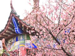 -开福禅寺