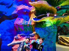 -青岛嘉年华主题乐园